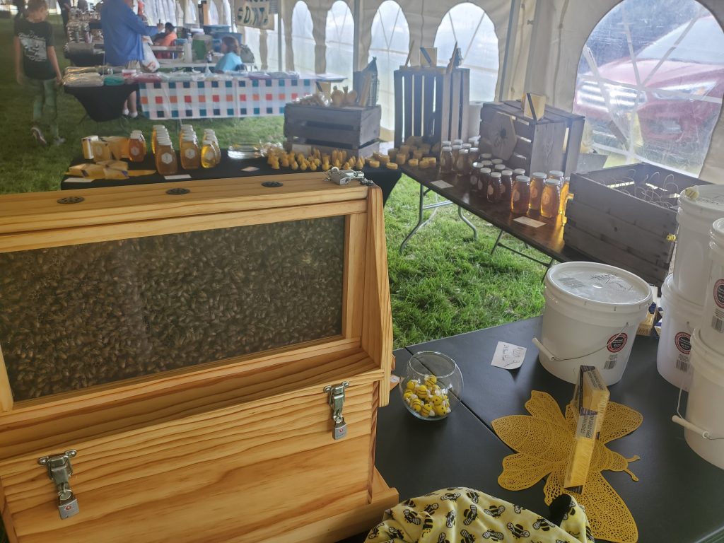 Observation Hive at Point Mouillee Waterfowl Festival